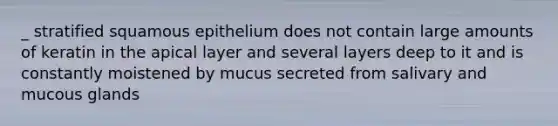 _ stratified squamous epithelium does not contain large amounts of keratin in the apical layer and several layers deep to it and is constantly moistened by mucus secreted from salivary and mucous glands