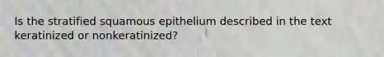 Is the stratified squamous epithelium described in the text keratinized or nonkeratinized?