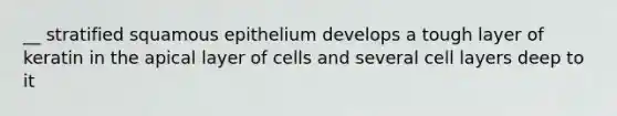 __ stratified squamous epithelium develops a tough layer of keratin in the apical layer of cells and several cell layers deep to it