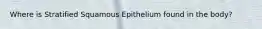 Where is Stratified Squamous Epithelium found in the body?