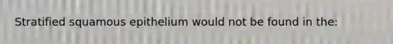 Stratified squamous epithelium would not be found in the: