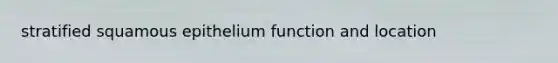 stratified squamous epithelium function and location