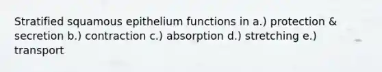 Stratified squamous epithelium functions in a.) protection & secretion b.) contraction c.) absorption d.) stretching e.) transport