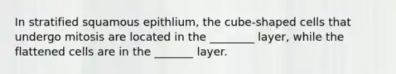 In stratified squamous epithlium, the cube-shaped cells that undergo mitosis are located in the ________ layer, while the flattened cells are in the _______ layer.