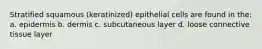 Stratified squamous (keratinized) epithelial cells are found in the: a. epidermis b. dermis c. subcutaneous layer d. loose connective tissue layer