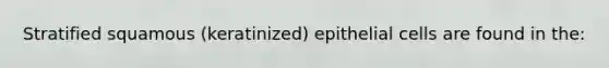 Stratified squamous (keratinized) epithelial cells are found in the: