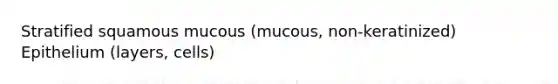 Stratified squamous mucous (mucous, non-keratinized) Epithelium (layers, cells)