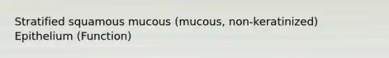 Stratified squamous mucous (mucous, non-keratinized) Epithelium (Function)