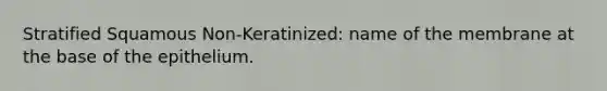 Stratified Squamous Non-Keratinized: name of the membrane at the base of the epithelium.