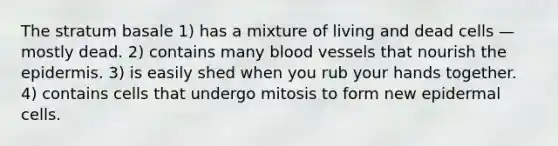 The stratum basale 1) has a mixture of living and dead cells — mostly dead. 2) contains many blood vessels that nourish <a href='https://www.questionai.com/knowledge/kBFgQMpq6s-the-epidermis' class='anchor-knowledge'>the epidermis</a>. 3) is easily shed when you rub your hands together. 4) contains cells that undergo mitosis to form new epidermal cells.