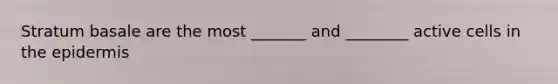 Stratum basale are the most _______ and ________ active cells in the epidermis