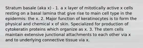 Stratum basale (aka x) - 1. a x layer of mitotically active x cells resting on a basal lamina that give rise to main cell type in the epidermis: the x. 2. Major function of keratinocytes is to form the physical and chemical x of skin. Specialized for production of cytokeratin proteins which organize as x. 3. The stem cells maintain extensive junctional attachments to each other via x and to underlying connective tissue via x.