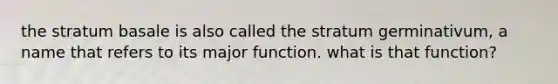 the stratum basale is also called the stratum germinativum, a name that refers to its major function. what is that function?