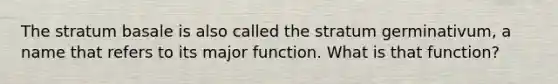 The stratum basale is also called the stratum germinativum, a name that refers to its major function. What is that function?