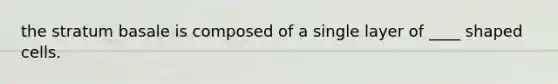 the stratum basale is composed of a single layer of ____ shaped cells.