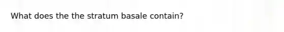 What does the the stratum basale contain?