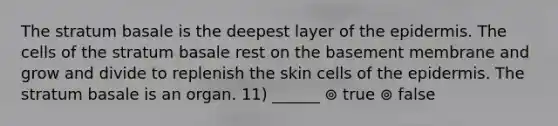 The stratum basale is the deepest layer of <a href='https://www.questionai.com/knowledge/kBFgQMpq6s-the-epidermis' class='anchor-knowledge'>the epidermis</a>. The cells of the stratum basale rest on the basement membrane and grow and divide to replenish the skin cells of the epidermis. The stratum basale is an organ. 11) ______ ⊚ true ⊚ false