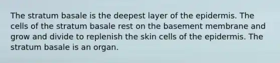 The stratum basale is the deepest layer of the epidermis. The cells of the stratum basale rest on the basement membrane and grow and divide to replenish the skin cells of the epidermis. The stratum basale is an organ.