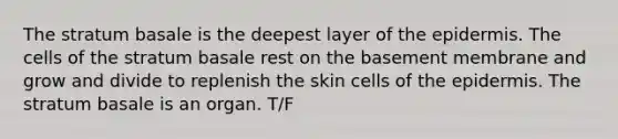 The stratum basale is the deepest layer of <a href='https://www.questionai.com/knowledge/kBFgQMpq6s-the-epidermis' class='anchor-knowledge'>the epidermis</a>. The cells of the stratum basale rest on the basement membrane and grow and divide to replenish the skin cells of the epidermis. The stratum basale is an organ. T/F