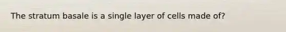 The stratum basale is a single layer of cells made of?