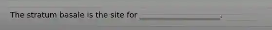 The stratum basale is the site for _____________________.