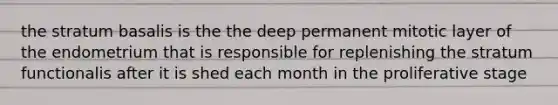 the stratum basalis is the the deep permanent mitotic layer of the endometrium that is responsible for replenishing the stratum functionalis after it is shed each month in the proliferative stage