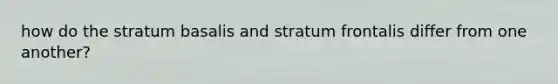 how do the stratum basalis and stratum frontalis differ from one another?