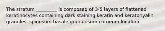 The stratum _________ is composed of 3-5 layers of flattened keratinocytes containing dark staining keratin and keratohyalin granules. spinosum basale granulosum corneum lucidum