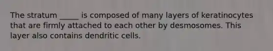 The stratum _____ is composed of many layers of keratinocytes that are firmly attached to each other by desmosomes. This layer also contains dendritic cells.