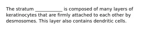 The stratum ____________ is composed of many layers of keratinocytes that are firmly attached to each other by desmosomes. This layer also contains dendritic cells.