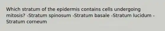 Which stratum of the epidermis contains cells undergoing mitosis? -Stratum spinosum -Stratum basale -Stratum lucidum -Stratum corneum