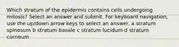 Which stratum of the epidermis contains cells undergoing mitosis? Select an answer and submit. For keyboard navigation, use the up/down arrow keys to select an answer. a stratum spinosum b stratum basale c stratum lucidum d stratum corneum