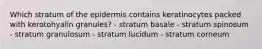 Which stratum of the epidermis contains keratinocytes packed with kerotohyalin granules? - stratum basale - stratum spinosum - stratum granulosum - stratum lucidum - stratum corneum