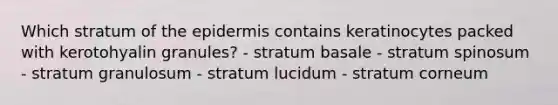 Which stratum of <a href='https://www.questionai.com/knowledge/kBFgQMpq6s-the-epidermis' class='anchor-knowledge'>the epidermis</a> contains keratinocytes packed with kerotohyalin granules? - stratum basale - stratum spinosum - stratum granulosum - stratum lucidum - stratum corneum