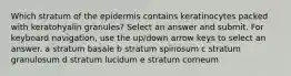 Which stratum of the epidermis contains keratinocytes packed with keratohyalin granules? Select an answer and submit. For keyboard navigation, use the up/down arrow keys to select an answer. a stratum basale b stratum spinosum c stratum granulosum d stratum lucidum e stratum corneum