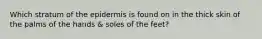 Which stratum of the epidermis is found on in the thick skin of the palms of the hands & soles of the feet?