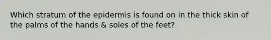 Which stratum of the epidermis is found on in the thick skin of the palms of the hands & soles of the feet?