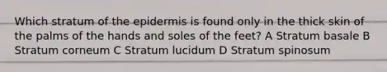 Which stratum of the epidermis is found only in the thick skin of the palms of the hands and soles of the feet? A Stratum basale B Stratum corneum C Stratum lucidum D Stratum spinosum