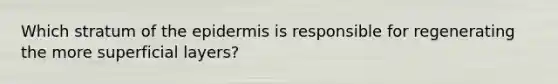 Which stratum of <a href='https://www.questionai.com/knowledge/kBFgQMpq6s-the-epidermis' class='anchor-knowledge'>the epidermis</a> is responsible for regenerating the more superficial layers?