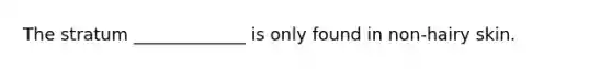 The stratum _____________ is only found in non-hairy skin.