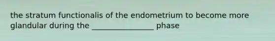 the stratum functionalis of the endometrium to become more glandular during the ________________ phase