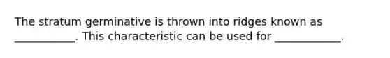 The stratum germinative is thrown into ridges known as ___________. This characteristic can be used for ____________.