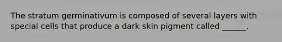 The stratum germinativum is composed of several layers with special cells that produce a dark skin pigment called ______.