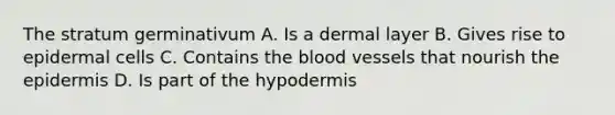 The stratum germinativum A. Is a dermal layer B. Gives rise to epidermal cells C. Contains the blood vessels that nourish the epidermis D. Is part of the hypodermis