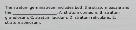 The stratum germinativum includes both the stratum basale and the _______________________. A. stratum corneum. B. stratum granulosum. C. stratum lucidum. D. stratum reticularis. E. stratum spinosum.