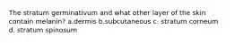 The stratum germinativum and what other layer of the skin contain melanin? a.dermis b.subcutaneous c. stratum corneum d. stratum spinosum