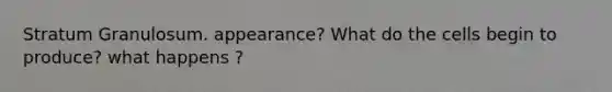 Stratum Granulosum. appearance? What do the cells begin to produce? what happens ?