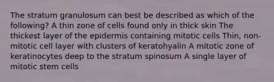 The stratum granulosum can best be described as which of the following? A thin zone of cells found only in thick skin The thickest layer of the epidermis containing mitotic cells Thin, non-mitotic cell layer with clusters of keratohyalin A mitotic zone of keratinocytes deep to the stratum spinosum A single layer of mitotic stem cells