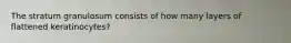 The stratum granulosum consists of how many layers of flattened keratinocytes?