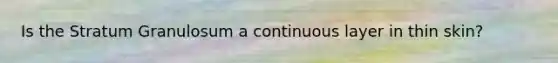 Is the Stratum Granulosum a continuous layer in thin skin?
